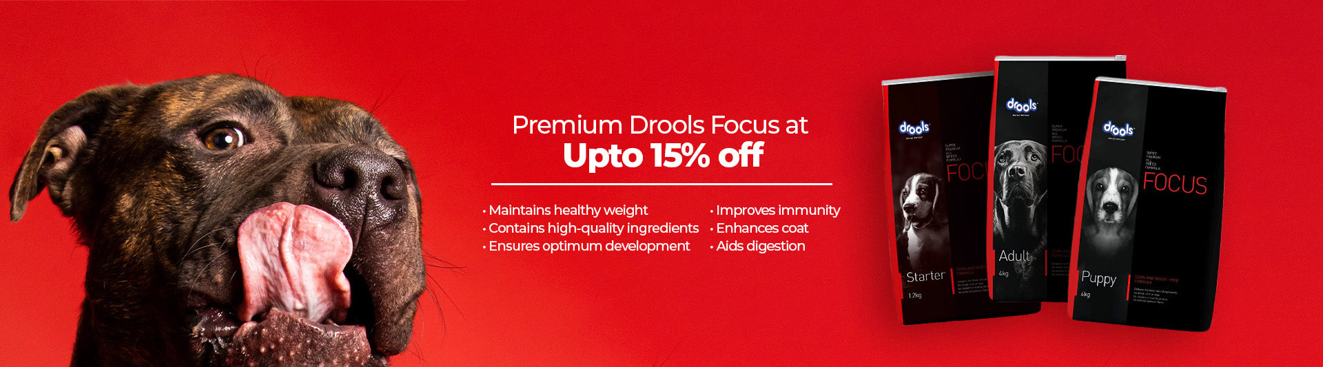 Drools focus starter outlet price