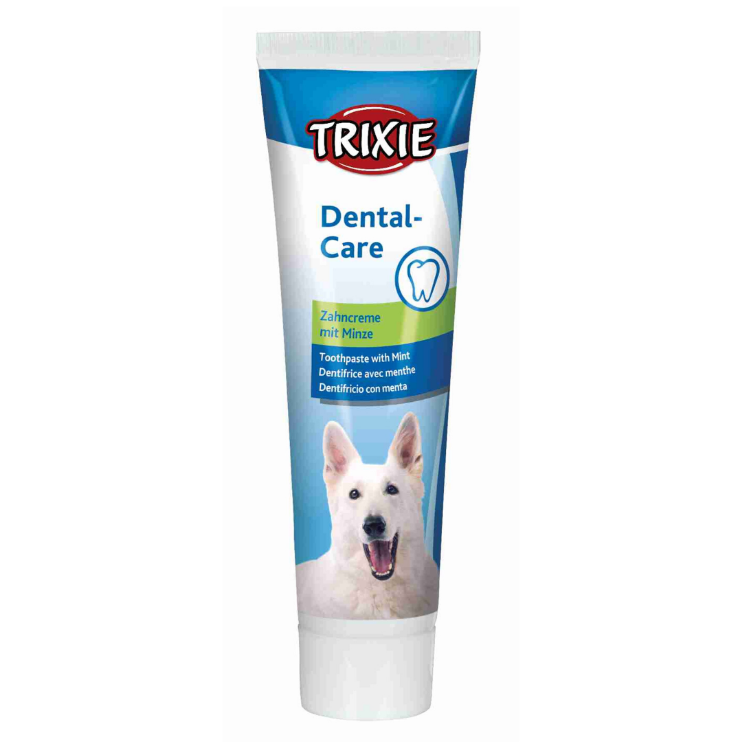 can i brush my dogs teeth with normal toothpaste