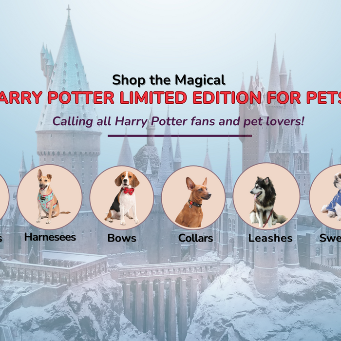 Shop Harry Potter Limited Edition Pet Accessories: Bandanas, Bows, Collars & More for Pets at Petsy