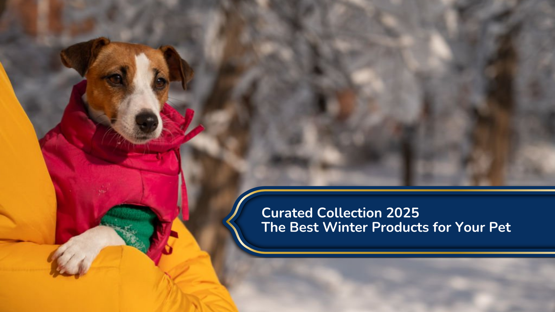 Curated Collection 2025: Discover Trendy Styles & Must-Have Pieces for the New Year