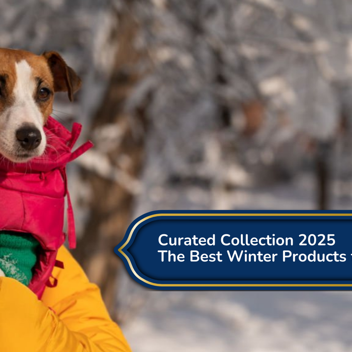 Curated Collection 2025: Discover Trendy Styles & Must-Have Pieces for the New Year