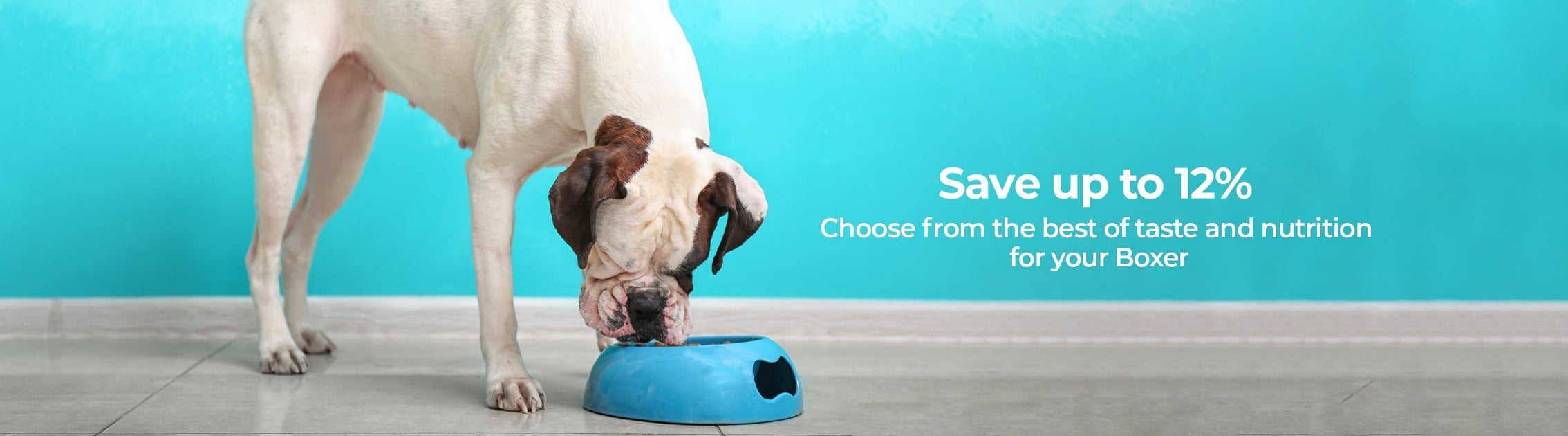 Best wet dog food for clearance boxers