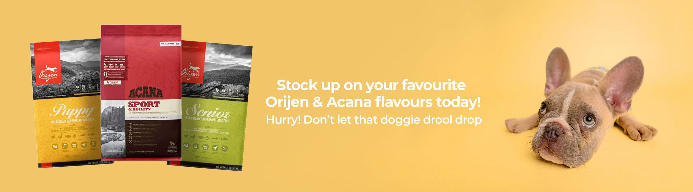 Orijen and Acana Premium Nutrition Options for Pets Petsy Online