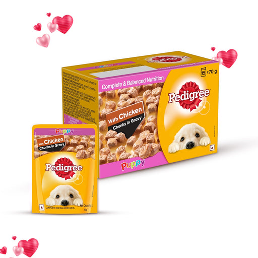 Pedigree Puppy Wet Dog Food with Chicken Chunks in Gravy 130 gm