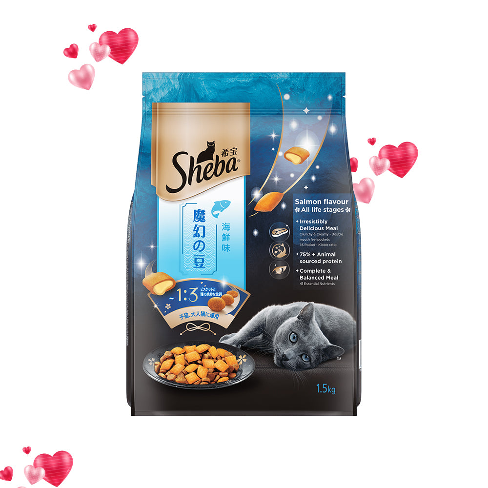 Dry Cat Food Best Cat food at Best Prices Online Petsy