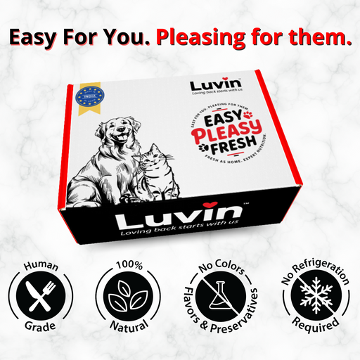 Luvin Chicken Bone Broth for Dogs - 80Ml (Pack of 6)