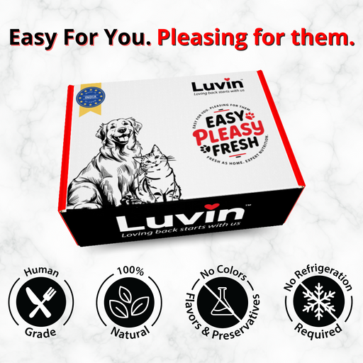 Luvin Chicken Bone Broth for Cats - 80Ml (Pack of 6)