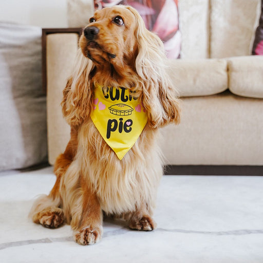 ZL Cutie Pie Dog Bandana