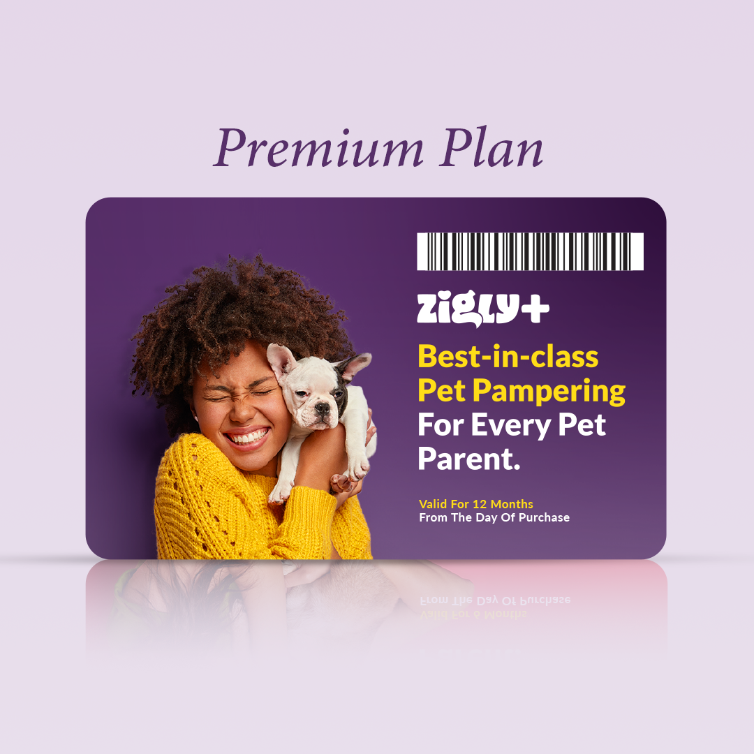 Zigly+ Premium Plan : GOLD