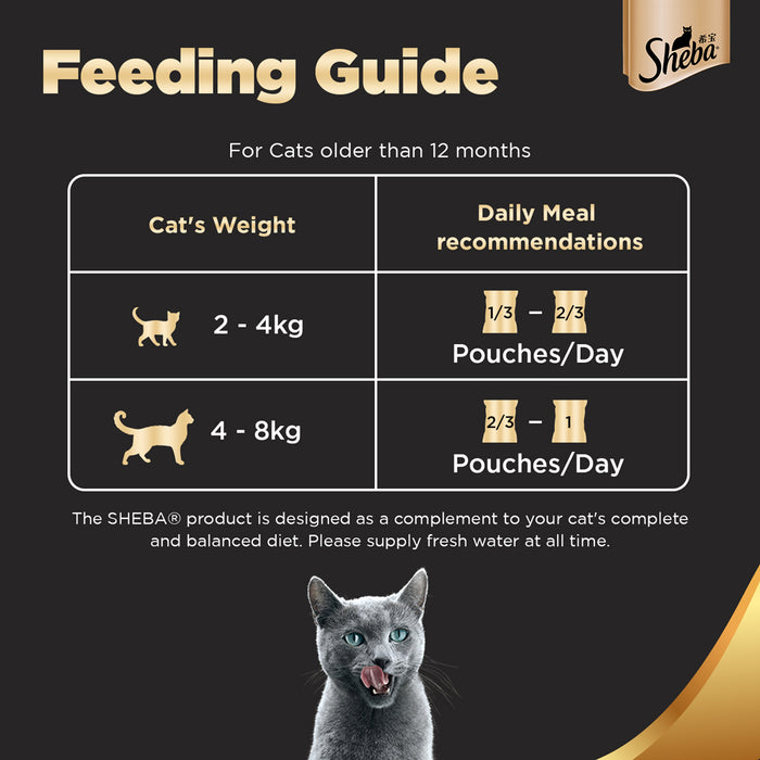 Sheba Premium Wet Cat Food - Chicken With Tuna In Gravy (Adult 1+)
