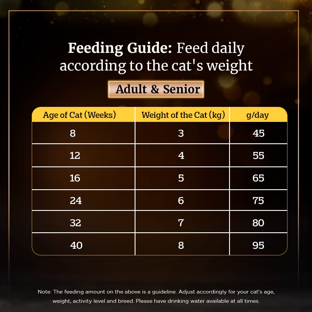 Sheba Dry Cat Food - Chicken (Kitten and Adult Cats)