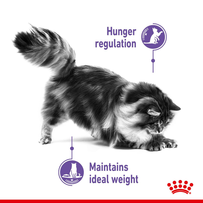 Royal Canin Appetite Control Sterilised Adult Dry Cat Food