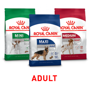 Royal canin dog food clearance manufacturer