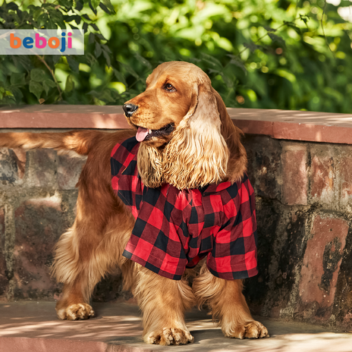 Beboji Red Checkered Dog Shirt