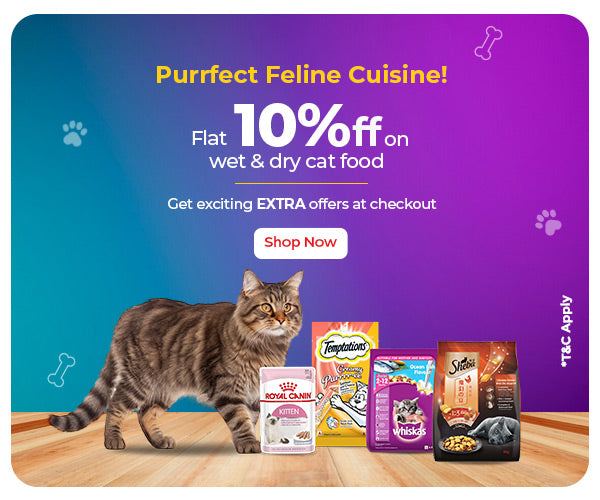 Buying pet food online sale