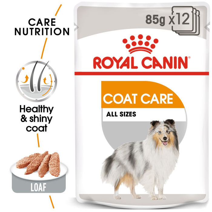 Royal Canin Coat Care Mini Adult Dry Dog Food