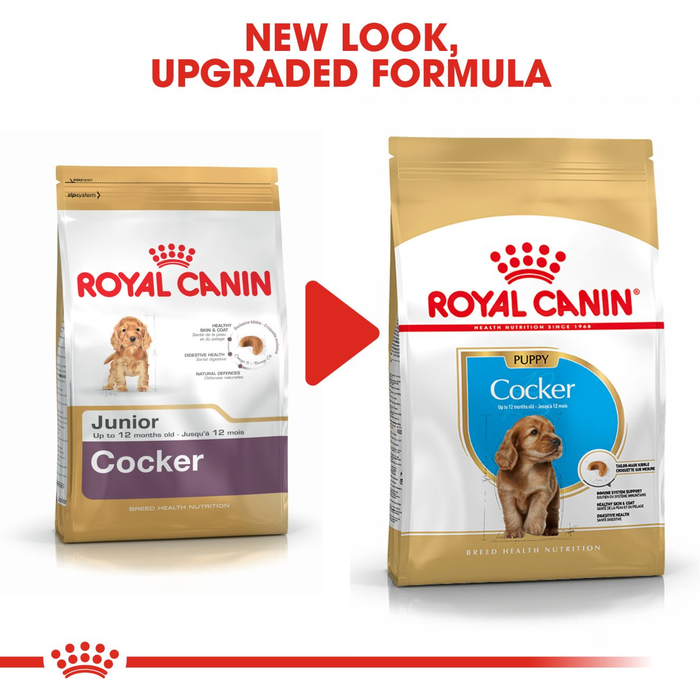 Royal Canin Cocker Spaniel Puppy Dry Dog Food