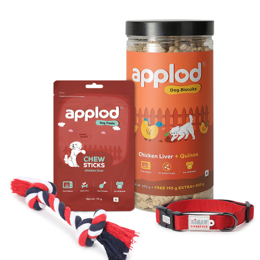 Doggo Cheer Holiday Set: ZL Collar Red (S), ZL Rope Toy, Applod Chicken & Quinoa Biscuit & Applod Chicken Liver Treat