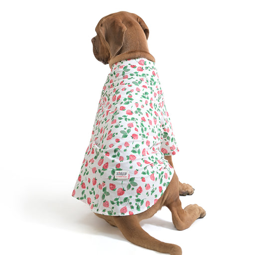 ZL StrawberryDream Shirt For Dog Days