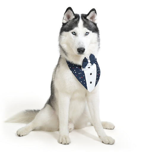 ZL Classic Starlit Sailor Bandana For Dog Days