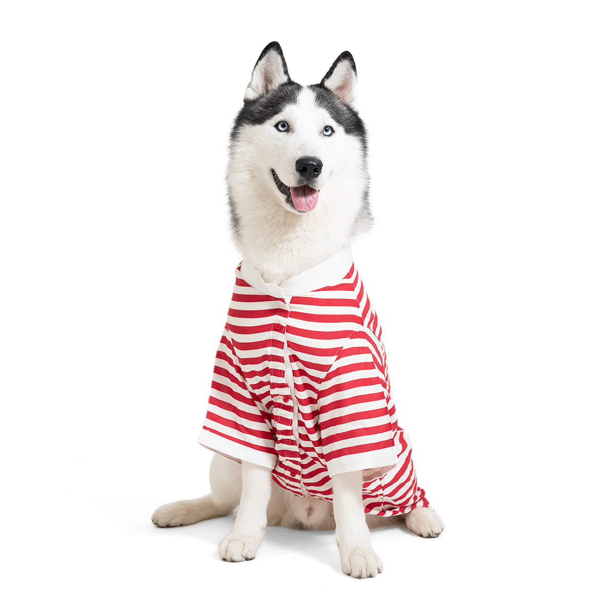 ZL Classic Canine Candy Wrap Shirt For Dog Days