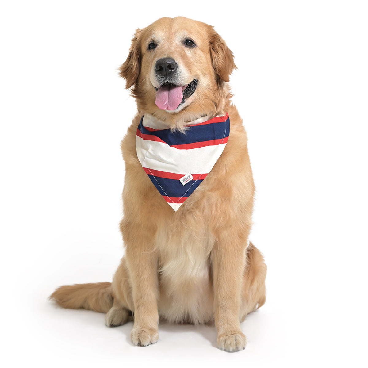 ZL Classic Sailor Stripe Bandana For Dog Days