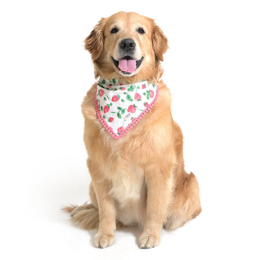 ZL Strawberry Dream Bandana For Dog Days