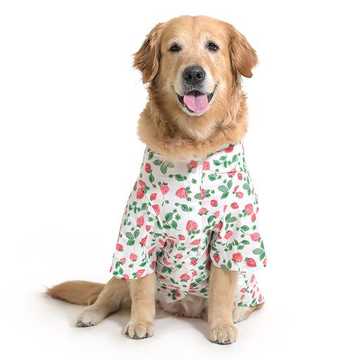 ZL StrawberryDream Shirt For Dog Days