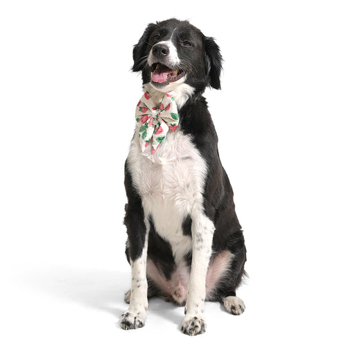 ZL StrawberryDream Ribbon Bow-Tie For Dog Days