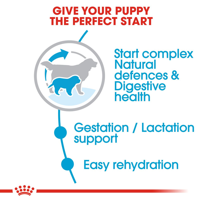 Royal Canin Starter Giant Mother and Babydog Dry Dog Food