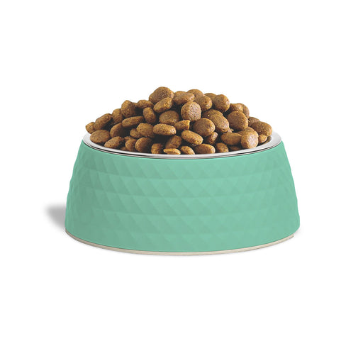 ZL Retro Pyramid Sage Melamine Pet Bowl