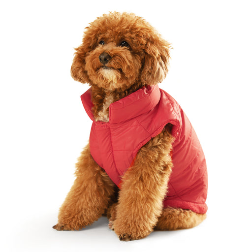 ZL Reversible Ambergini Puffer Dog Jacket