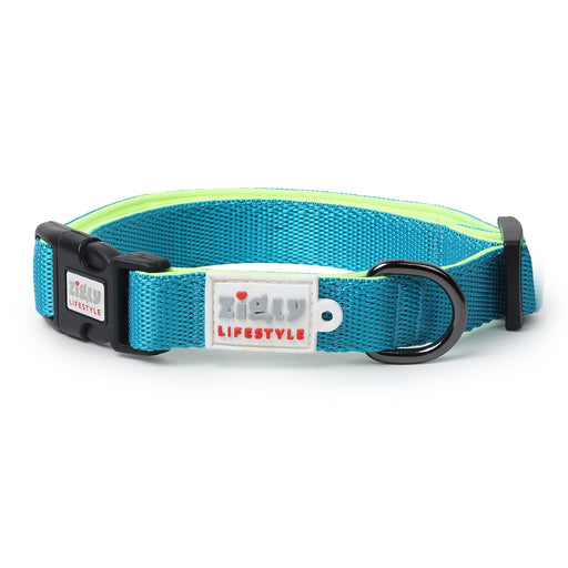 ZL Classic Padded Dog Collar  - Neon Green