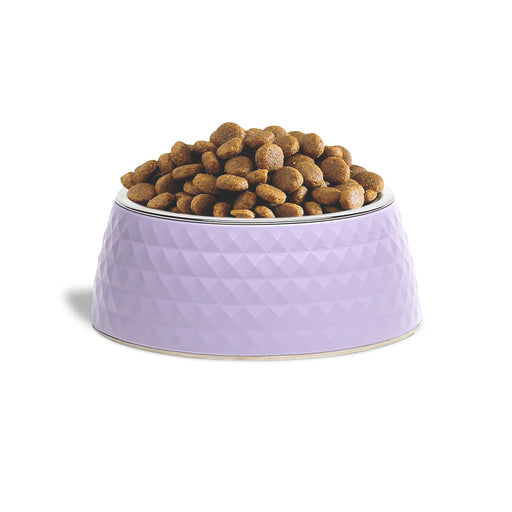 ZL Retro Pyramid Lavender Melamine Dog Bowl