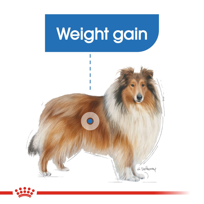 Royal Canin Maxi Light Weight Care Adult Dry Dog Food