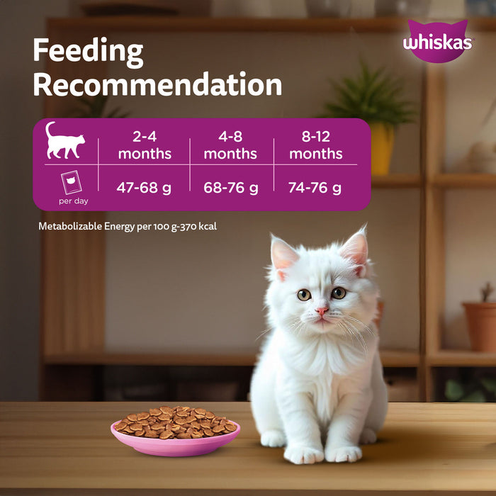 Whiskas Persian (2-12 Months) Kitten Dry Cat Food