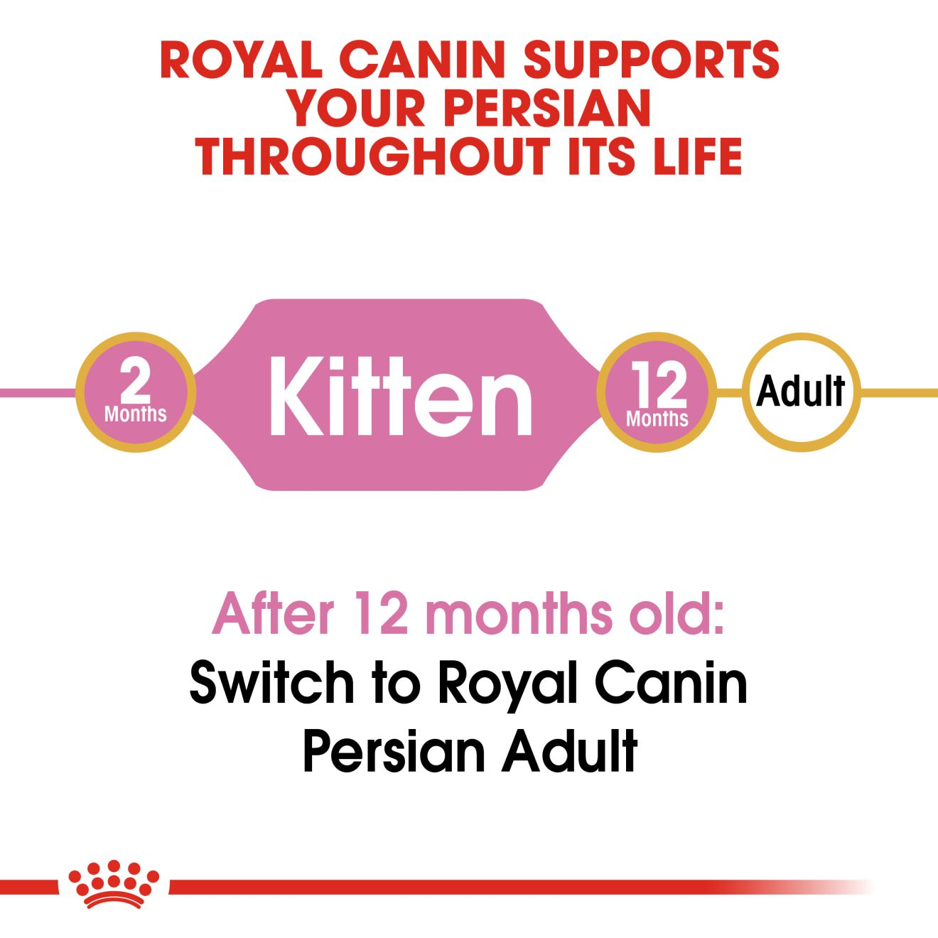 Royal Canin Persian Kitten Breed Dry Cat Food