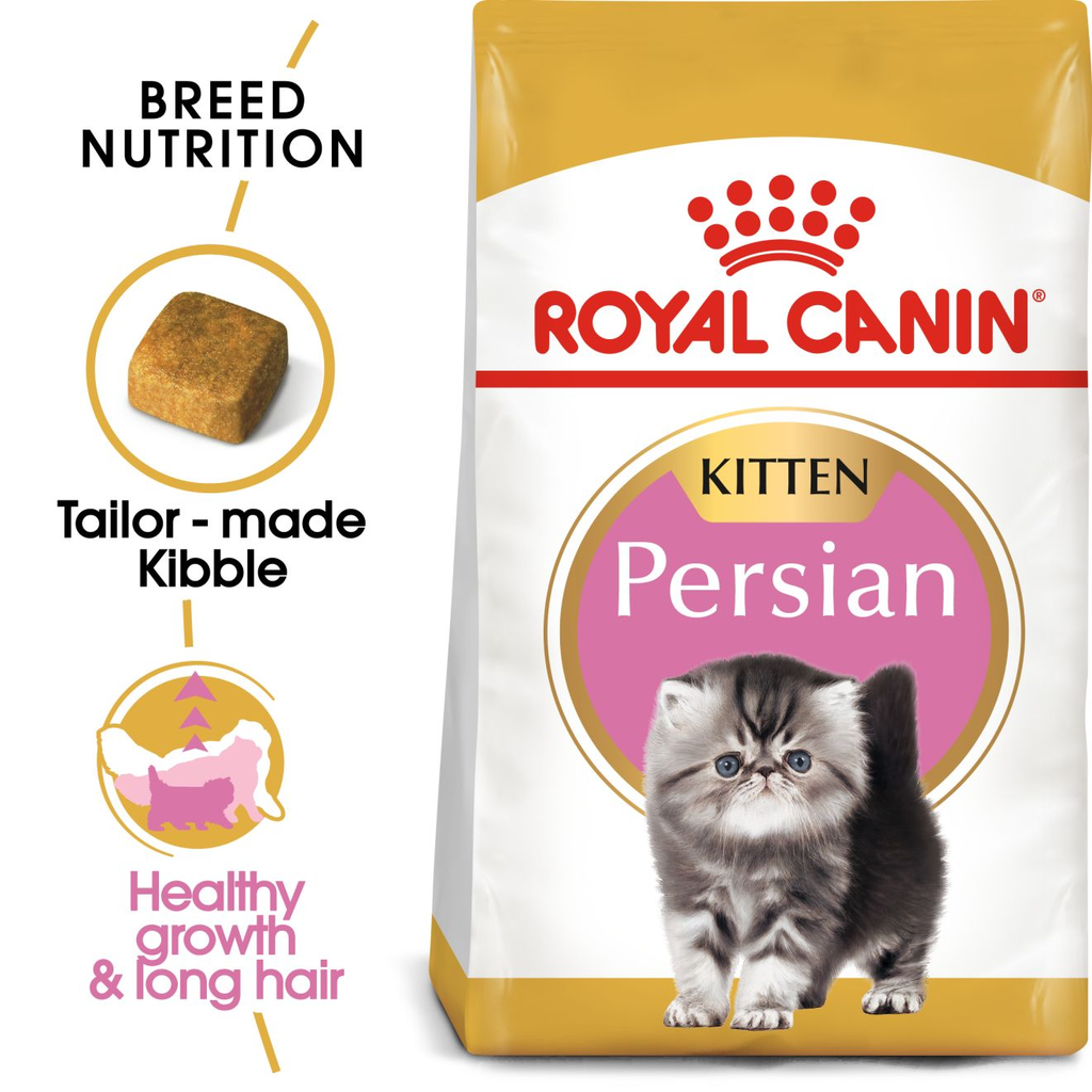 Royal Canin Persian Kitten Breed Dry Cat Food Petsy