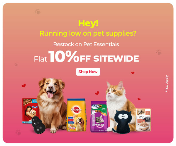 Pet Food Buy Pet Food And Accessories At Best Prices Petsy