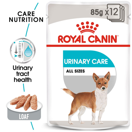 Royal Canin Urinary Care Mini Adult Dry Dog Food