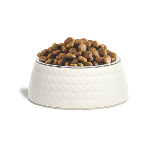 ZL Retro Pyramid Jasmine Melamine Dog Bowl