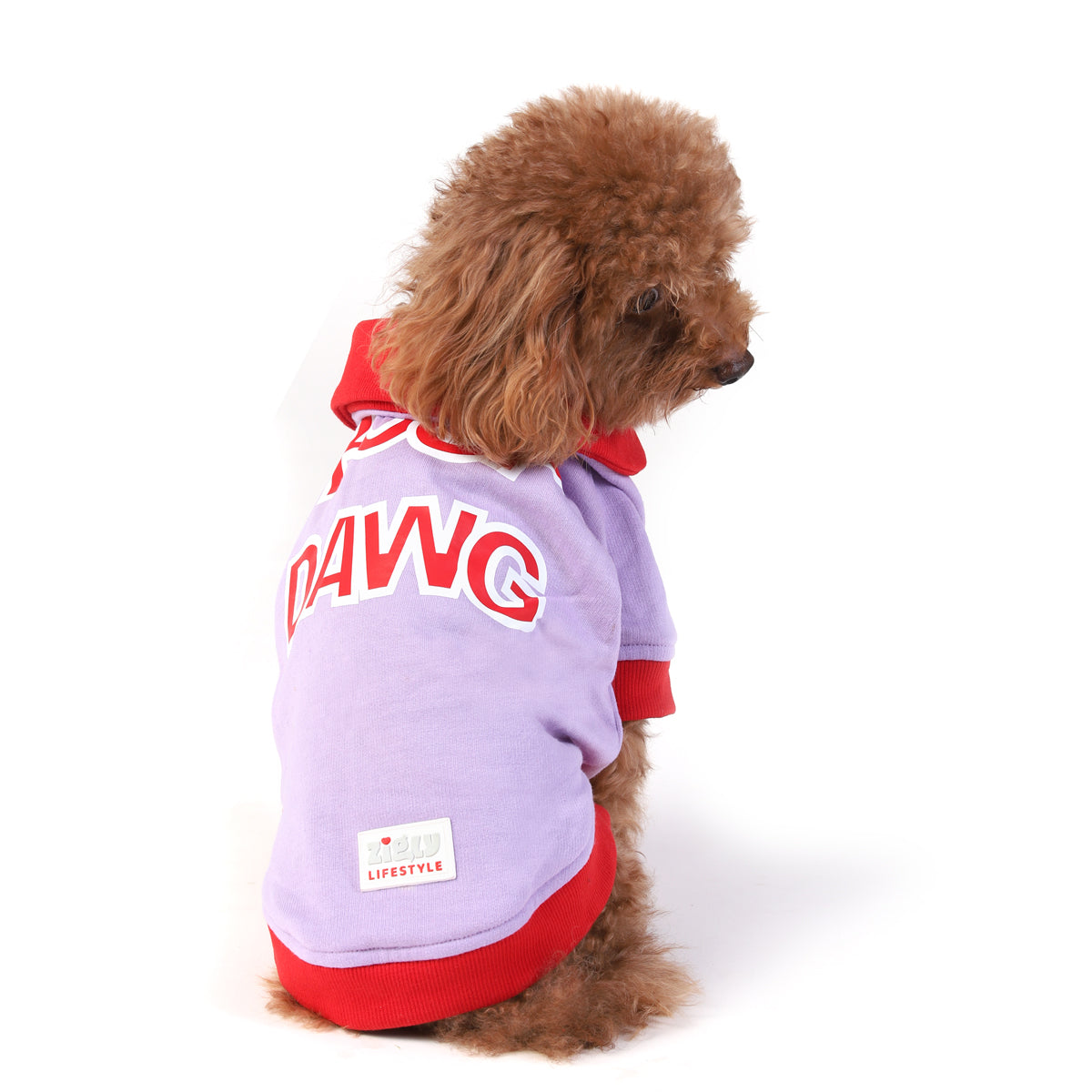 ZL Boop Dawg Sweatshirt