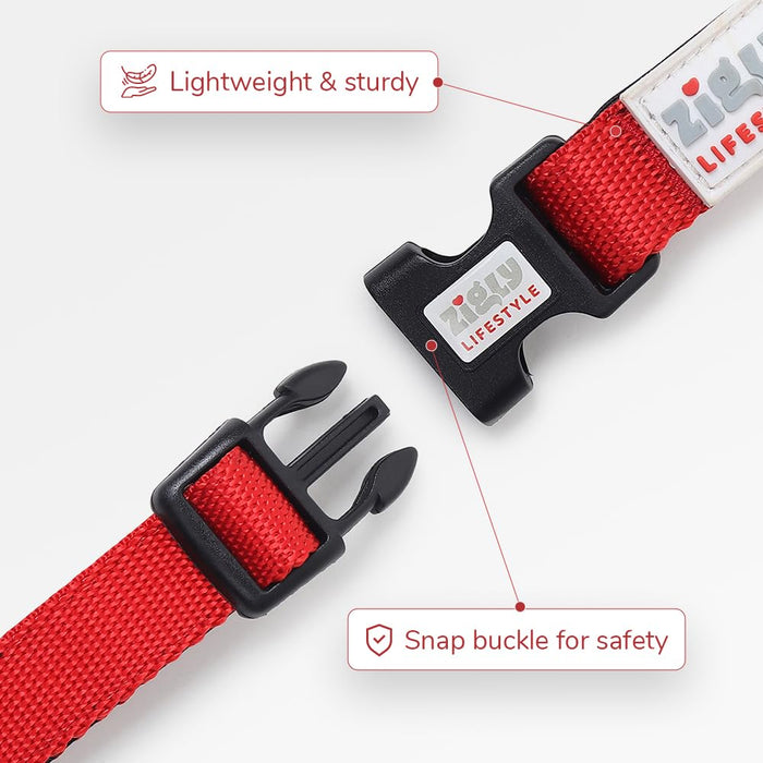 ZL Classic Padded Dog Collar & Refelective Leash Set - Red with Blue