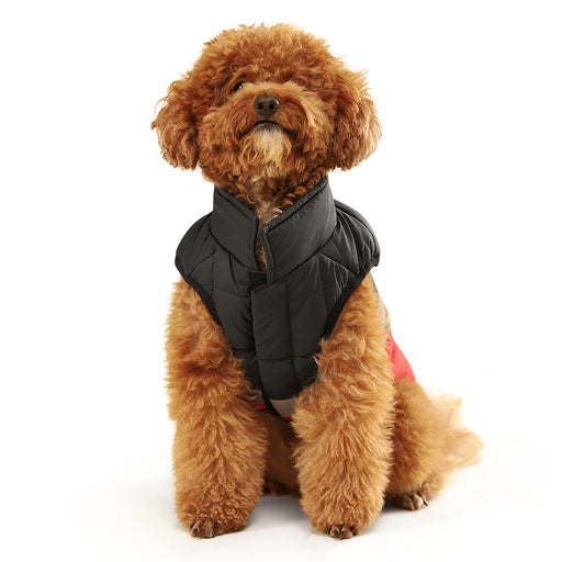 ZL Cookie Time Winter Dog Jacket