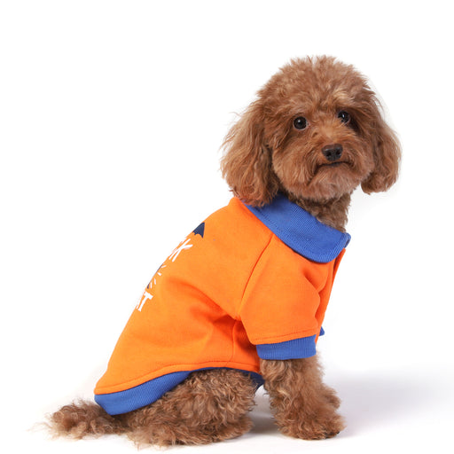 ZL Trick or Treat Sweatshirt For Dogs