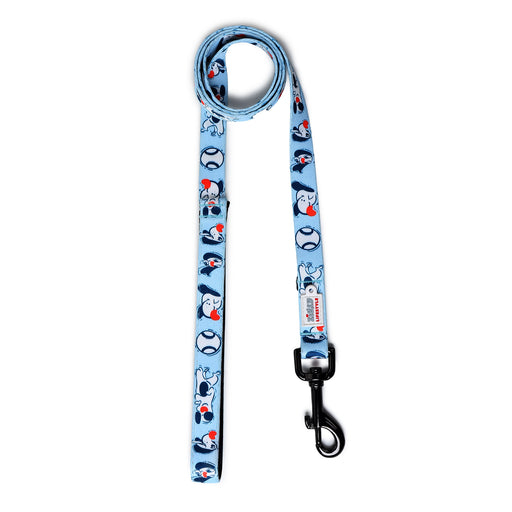 ZL Soft Padded Doodle Dog Leash - Blue