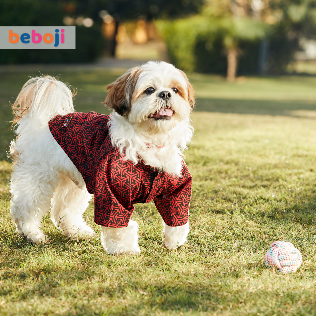 beboji Red Tessellation Dog Shirt