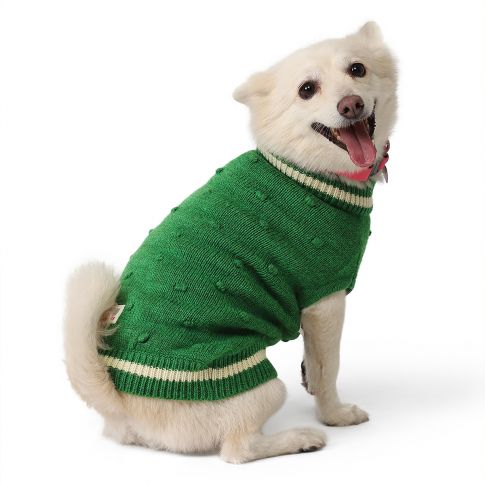 ZL Wonderland Dog Sweater