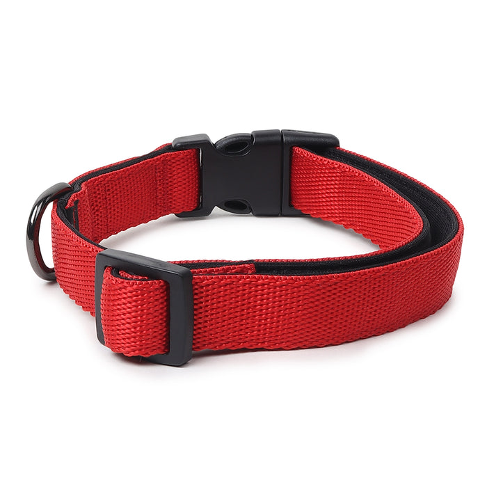 ZL Classic Padded Dog Collar  - Red