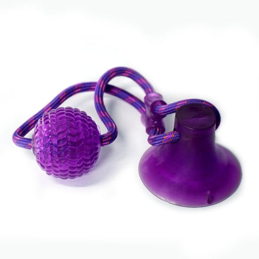 Basil Dog Toys - Vacuum Cup with Rope and Ball (Suitable For Smaller Breeds)